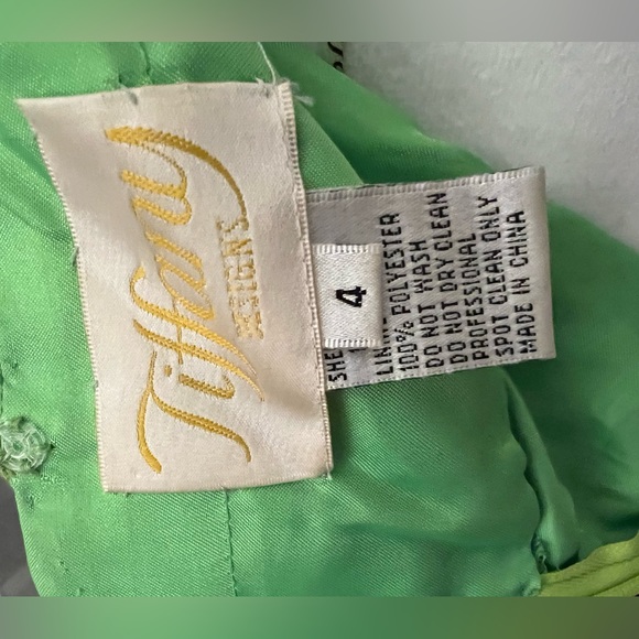 Stunning Tiffany Gown with Beaded Waist - Picture 5 of 12